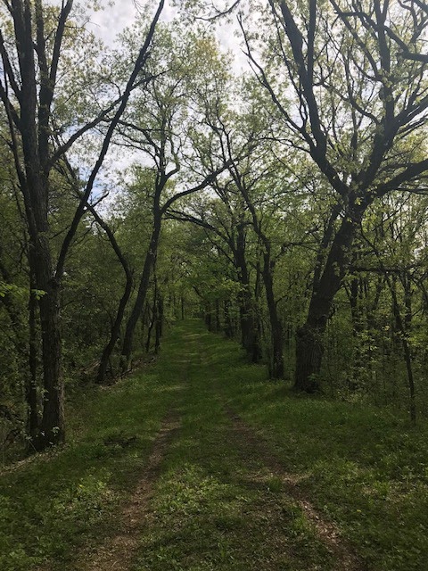 Kettle Moraine State Forest — Southern Unit