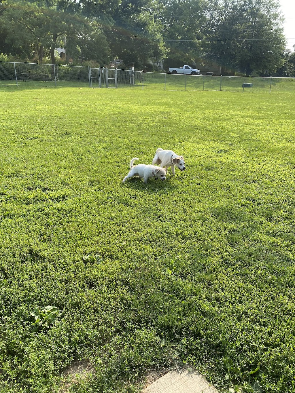 Davenport Dog Park