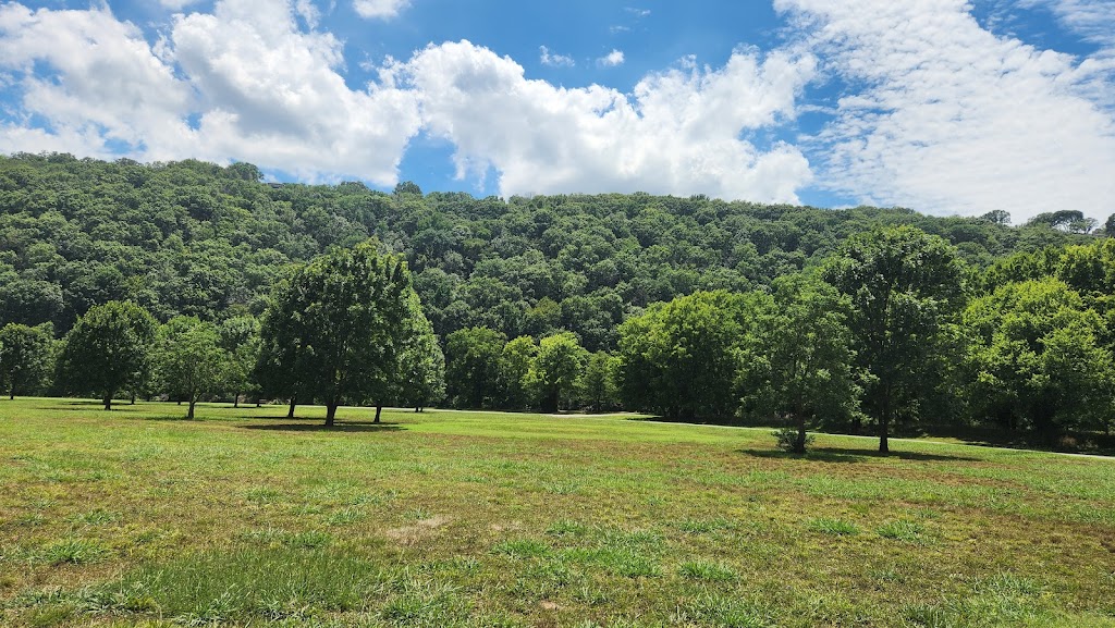 Two Rivers Park Dog Park