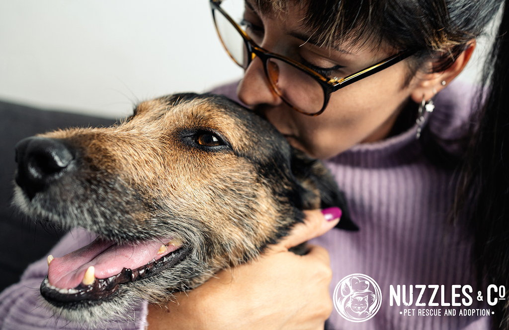 Nuzzles & Co. Pet Rescue