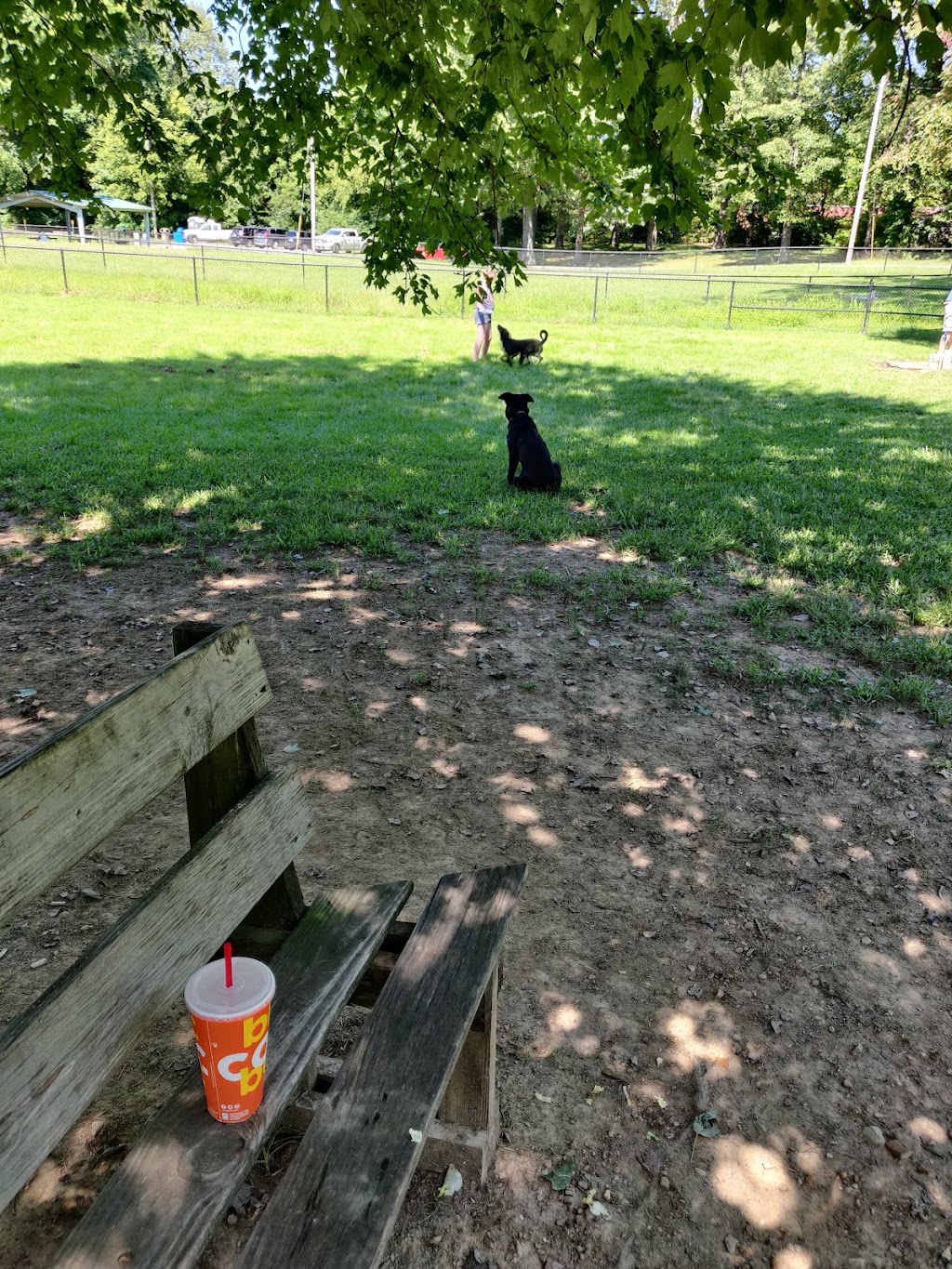 Stuart Nelson Park Dog Park