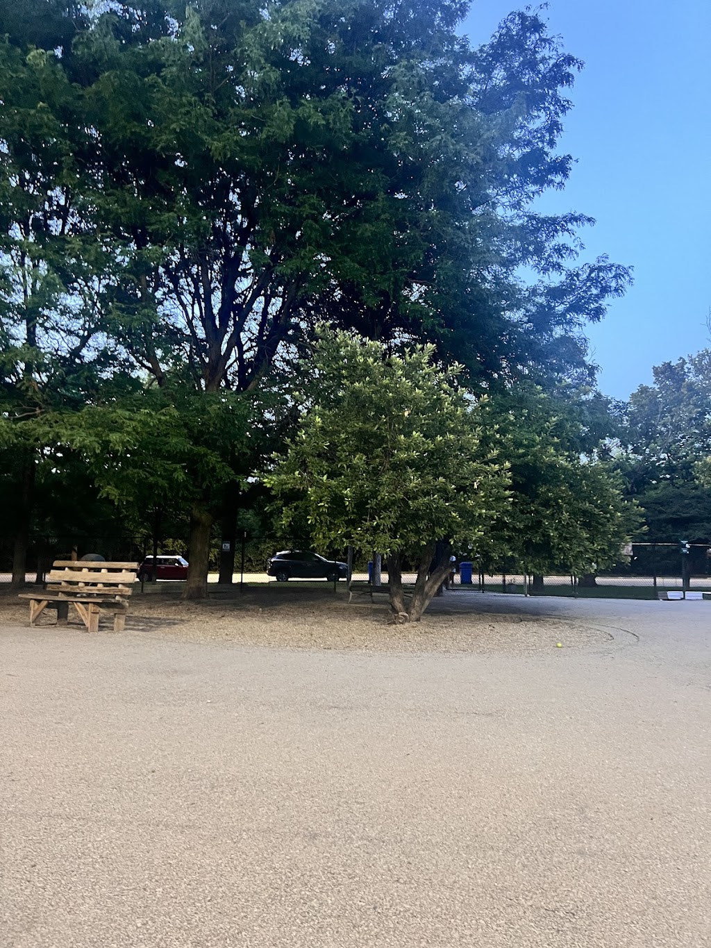 Norwood Park Dog Friendly Area
