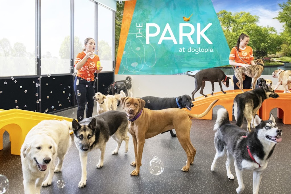 Dogtopia of Rockville