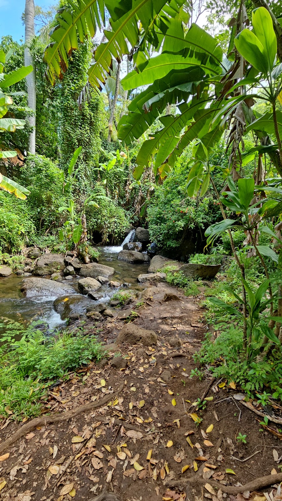 Makiki Valley Loop