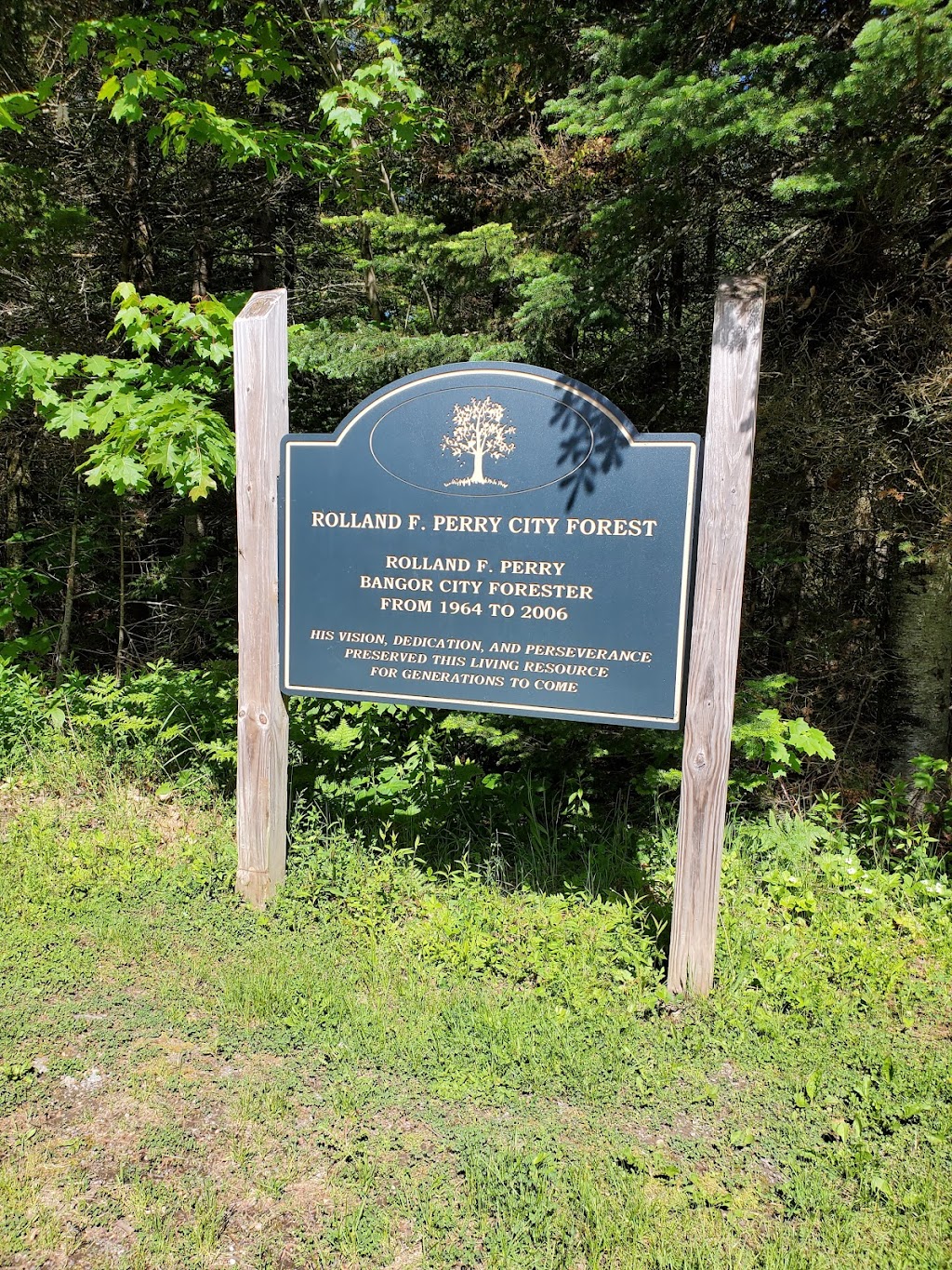 Bangor City Forest