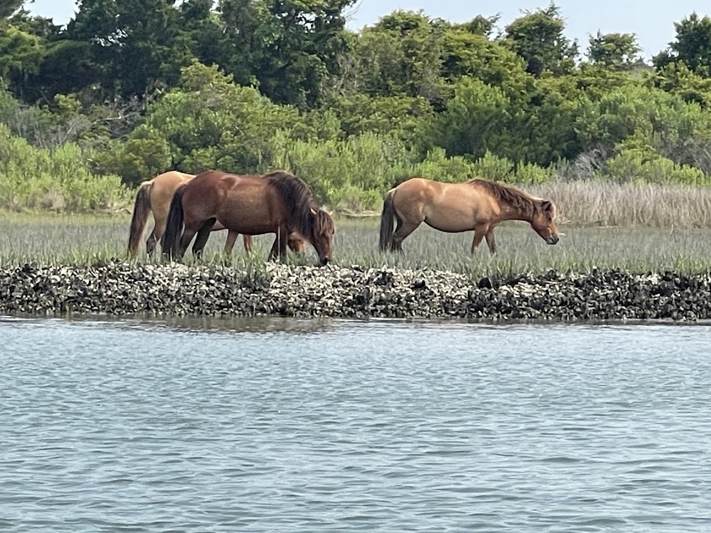 Rachel Carson Reserve