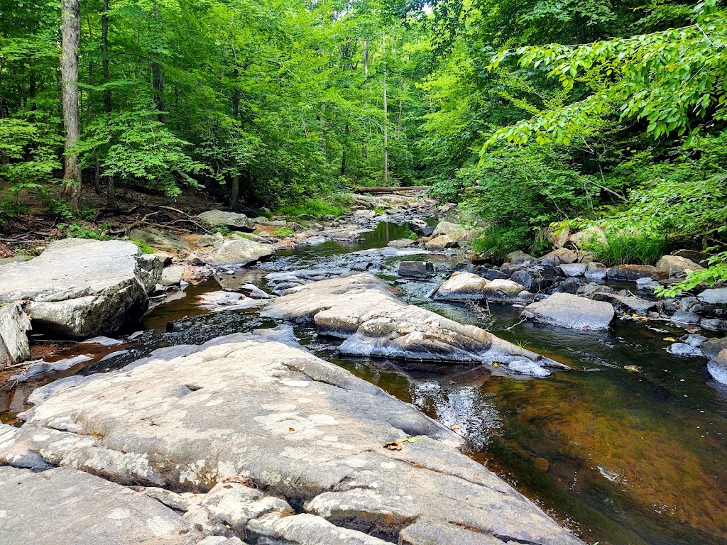 Prince William Forest Park