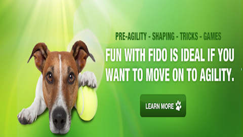 Positively Pawsitive Dog Training