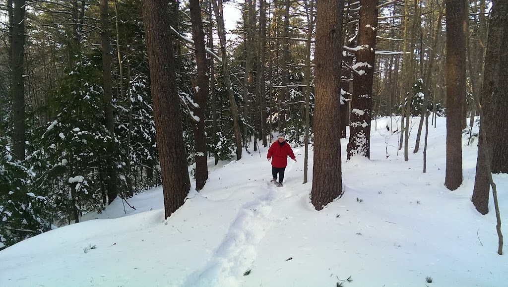 Whiskeag Trail