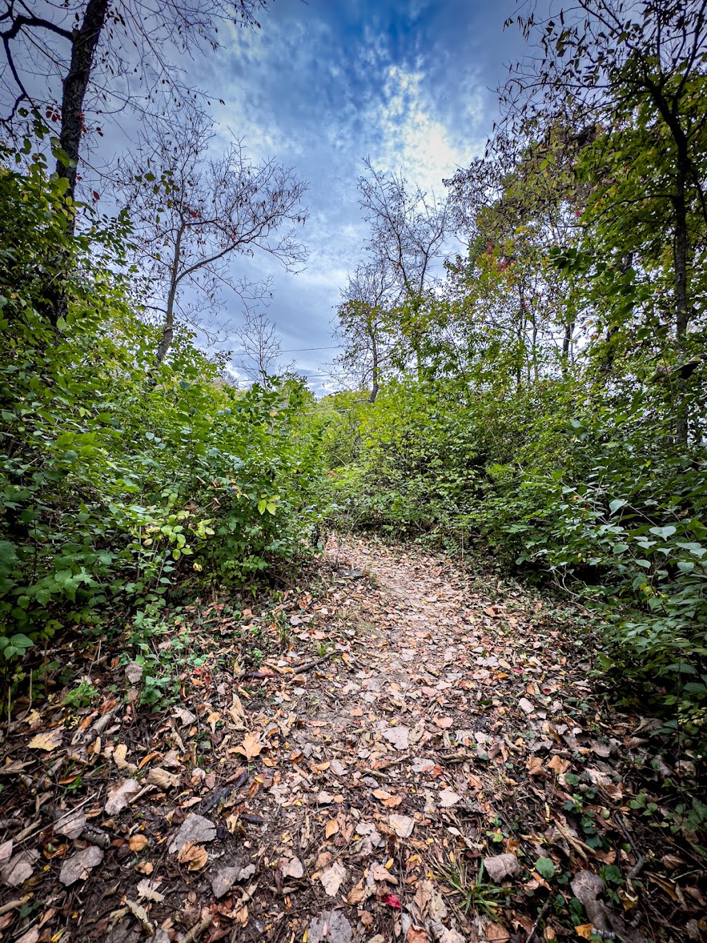 Fishers Heritage Park Bark Park