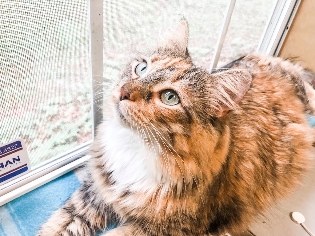 Humane Animal Partners (Newark)