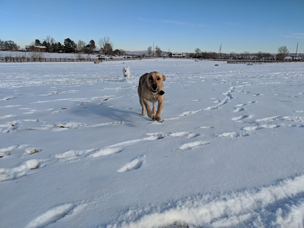 Great Bark Dog Park