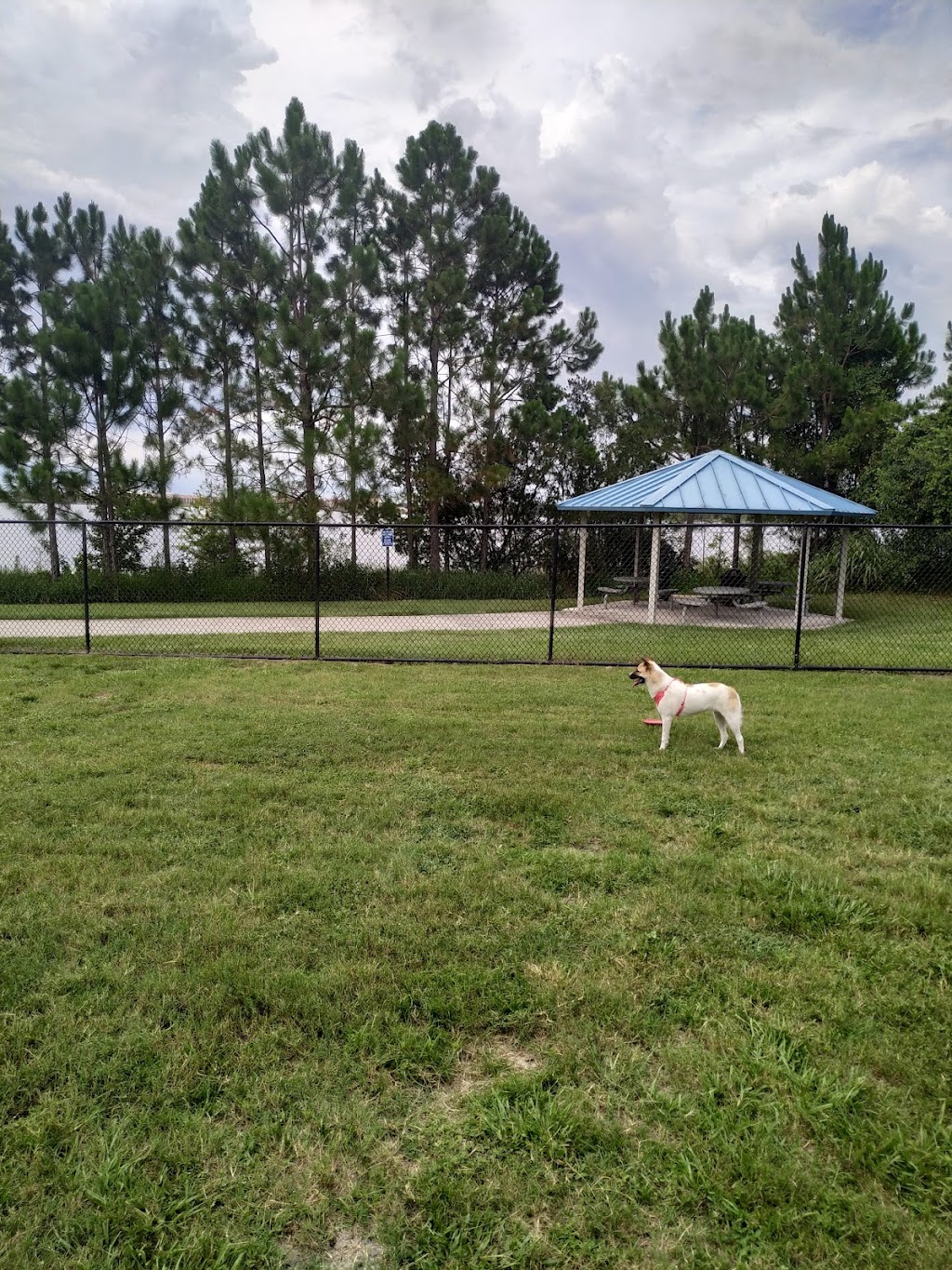 Dr. Phillips Dog Park