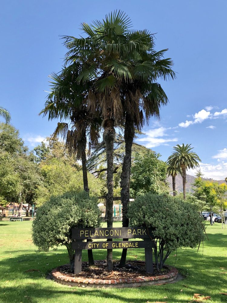 Pelanconi Park Dog Area