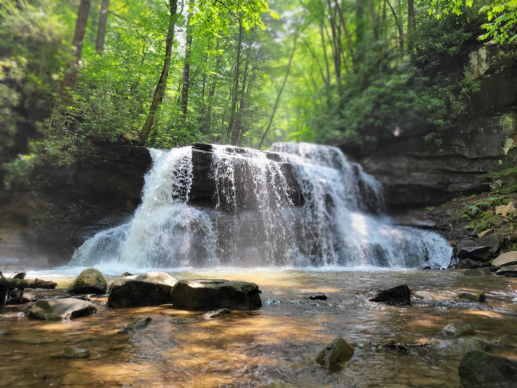 Holly River State Park