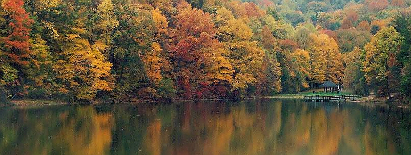 Jefferson Memorial Forest