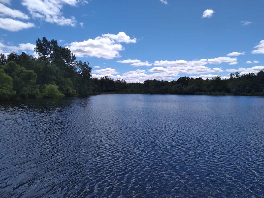 Wiregrass Lake Metropark