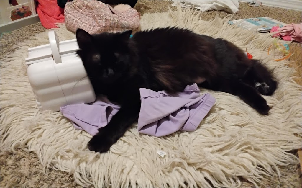 Mat-Su Borough Animal Shelter