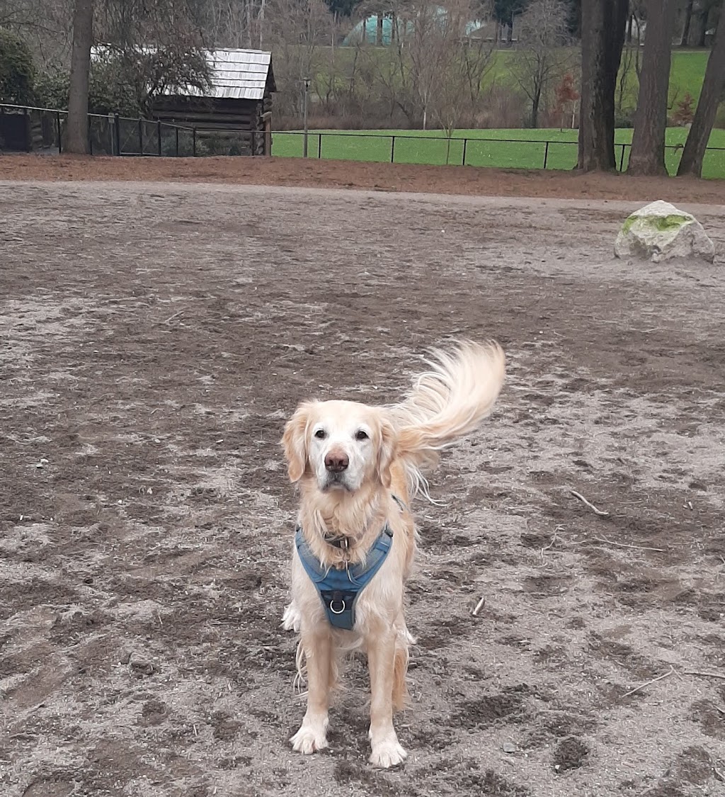Robinswood Dog Park