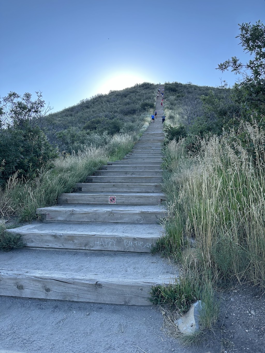 Philip S. Miller Park Trails