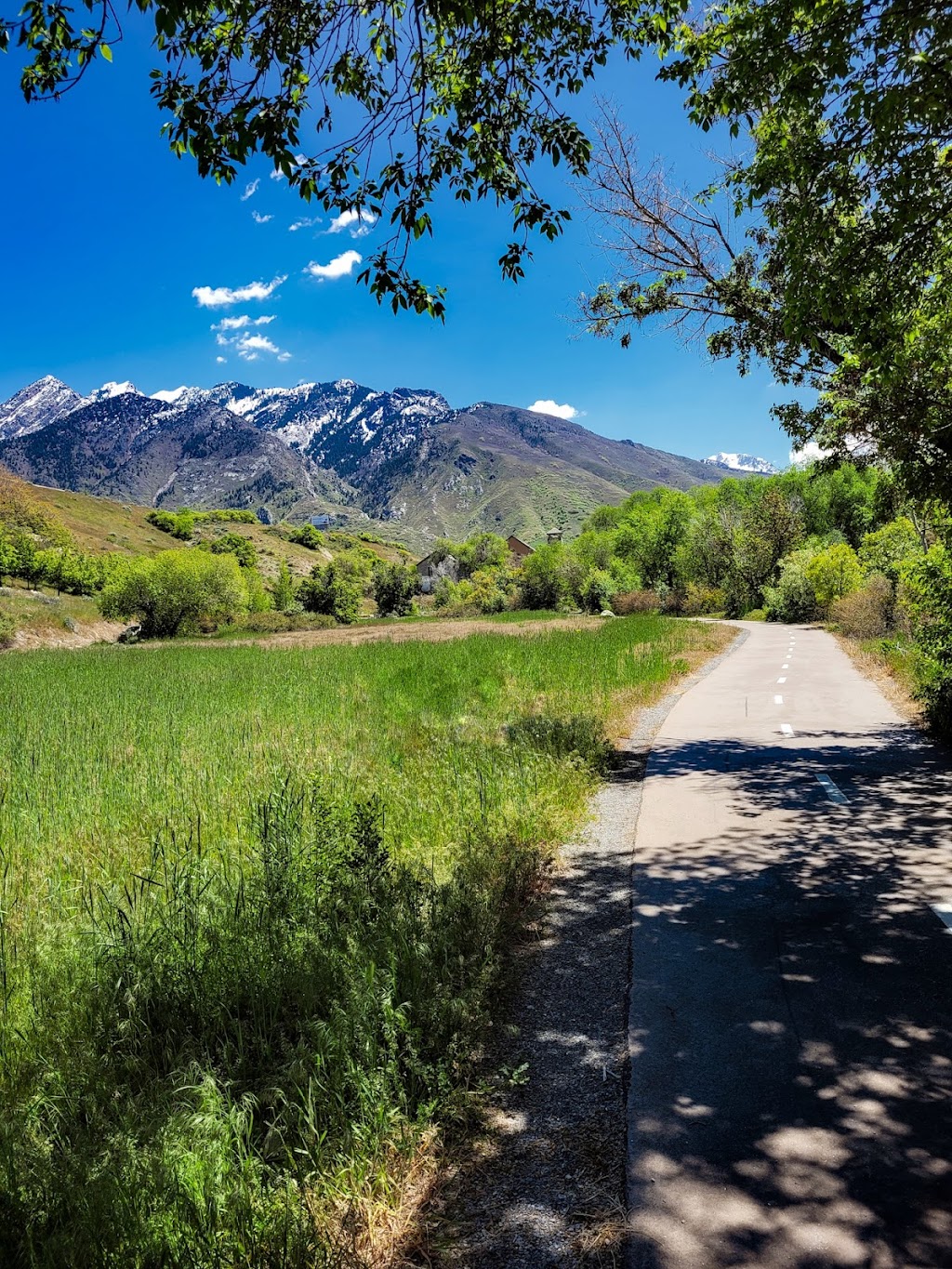 Big Cottonwood Canyon Trails