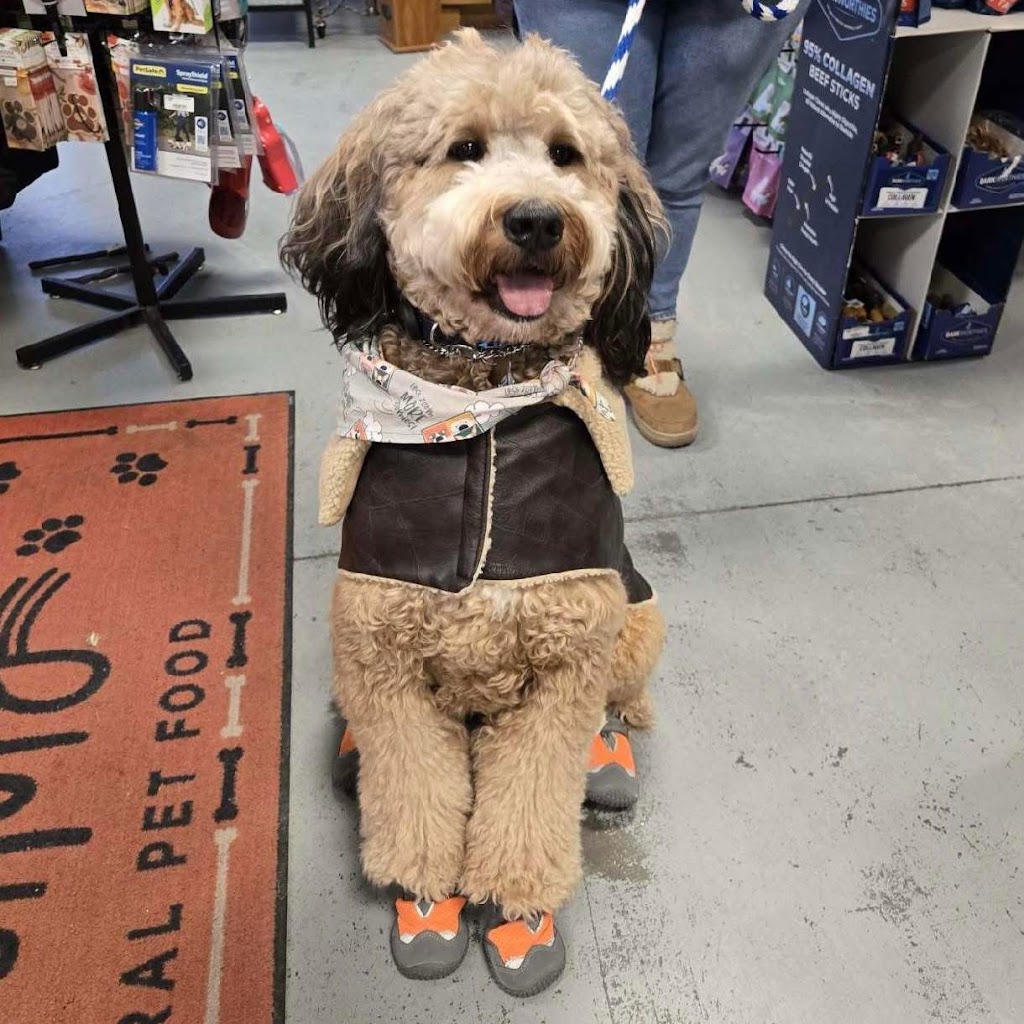 Misty Paws Pet Salon