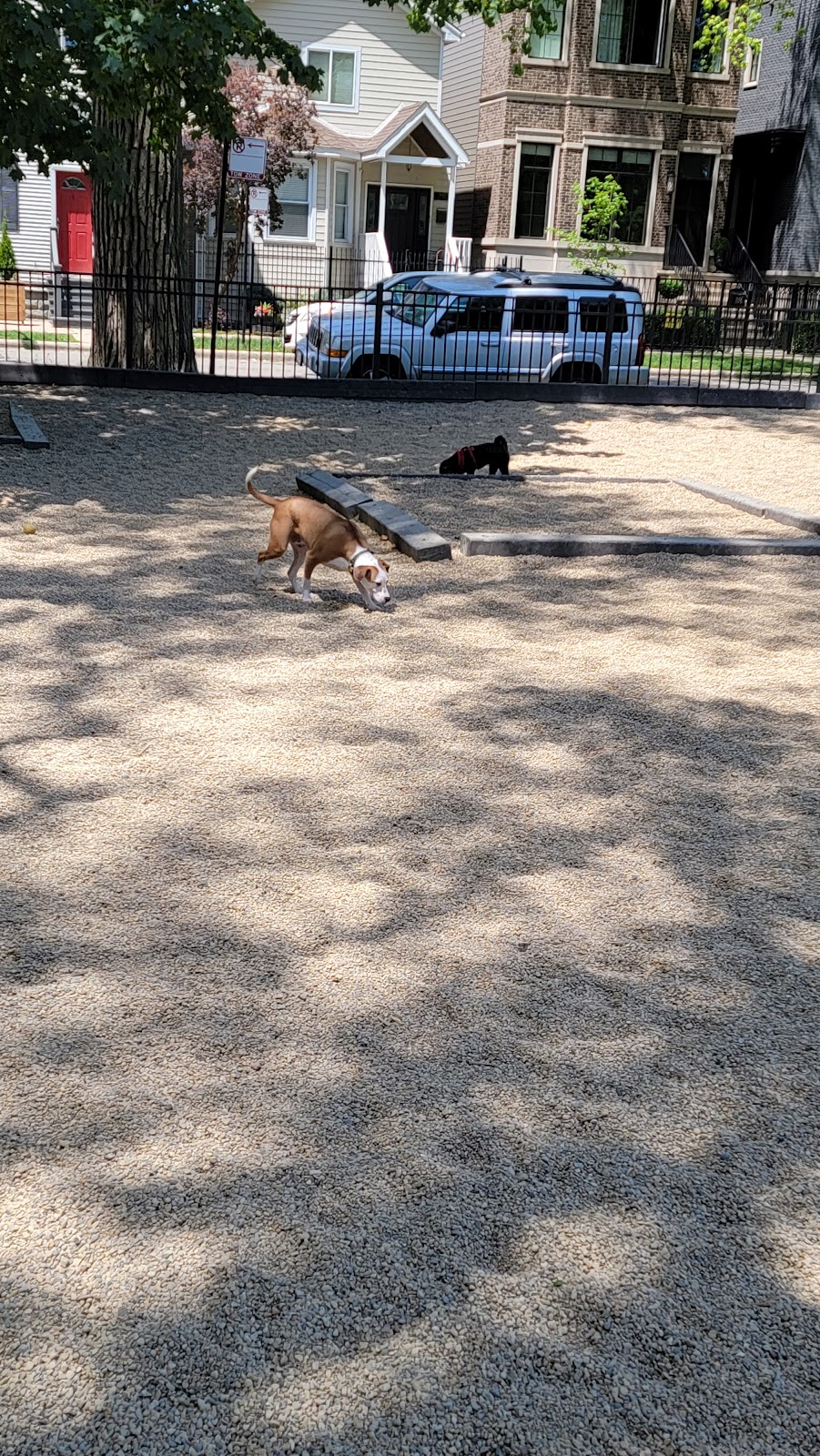 Hamlin Park Dog Friendly Area