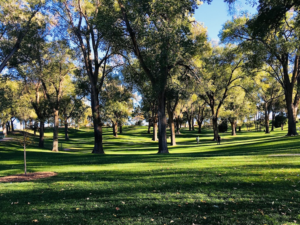 Roosevelt Park Dog Area