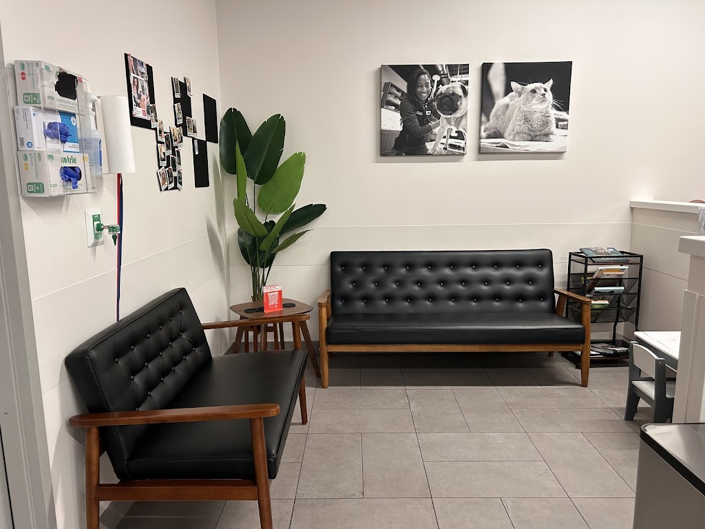 Veterinary Emergency Group Summerlin