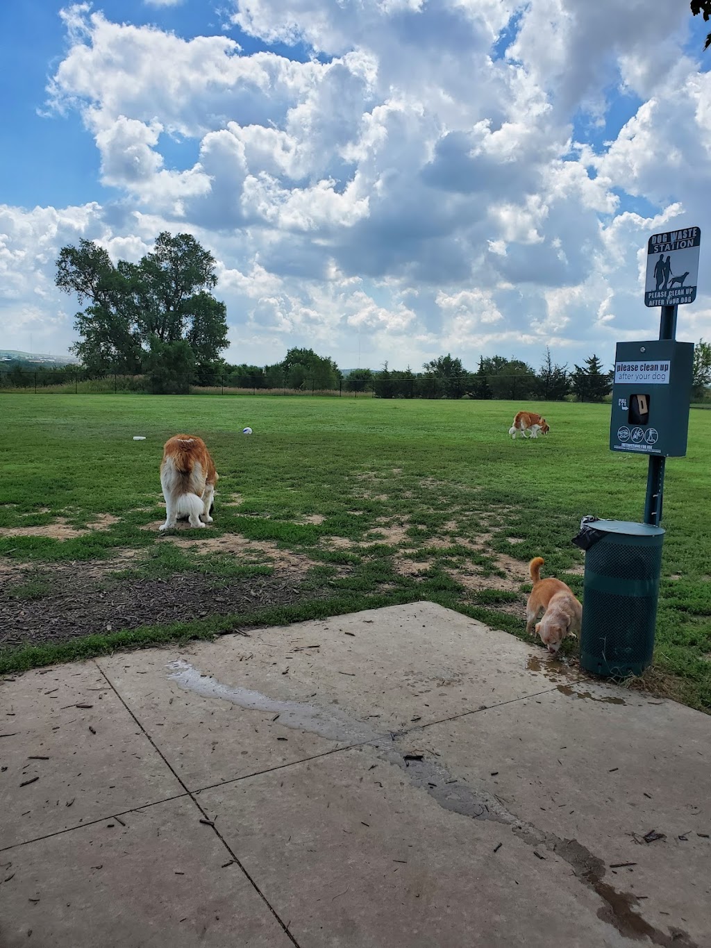 Salina Dog Park