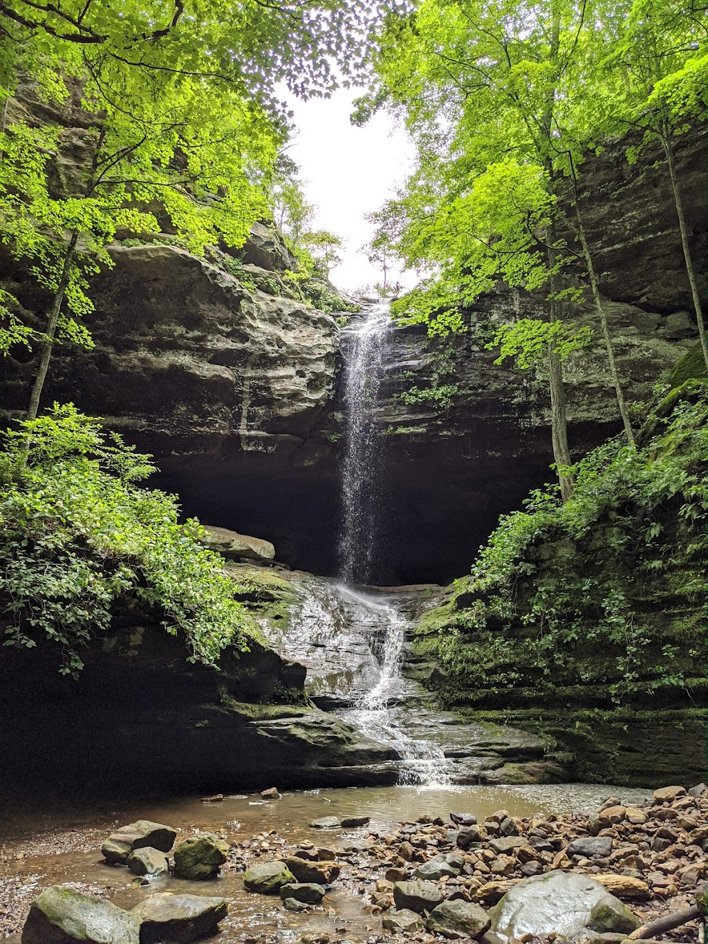 Ferne Clyffe State Park