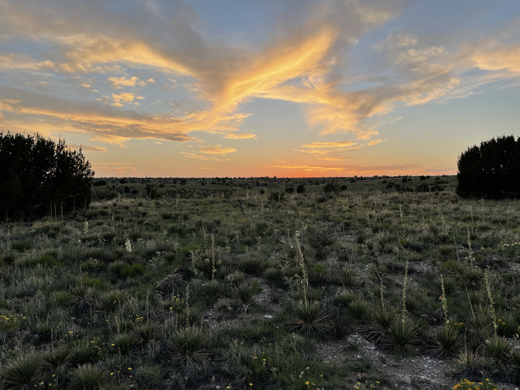 Black Mesa State Park