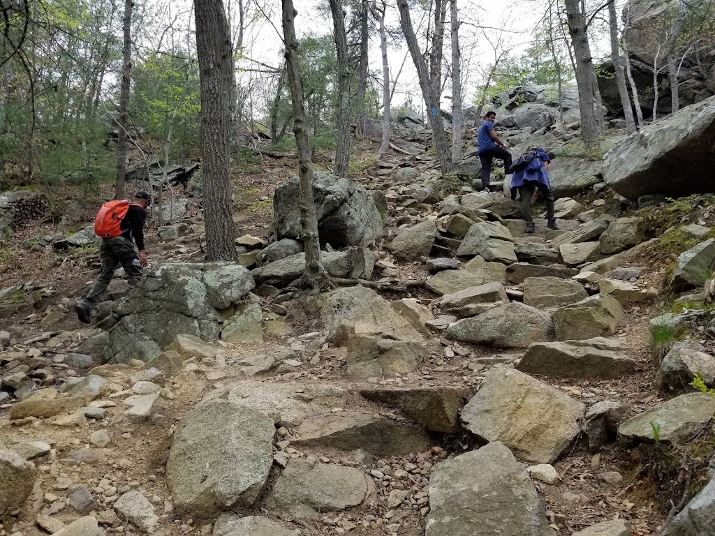 Skyline Trail (Blue Hills)