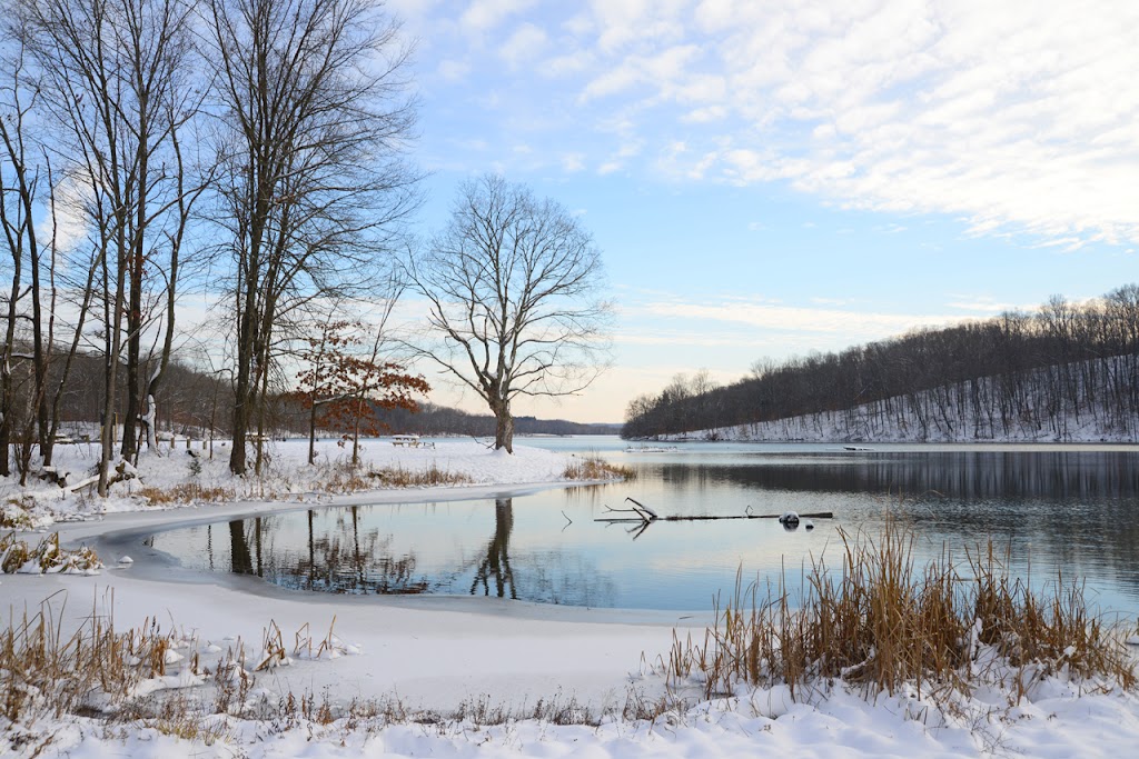 Yellowwood State Forest, Nashville