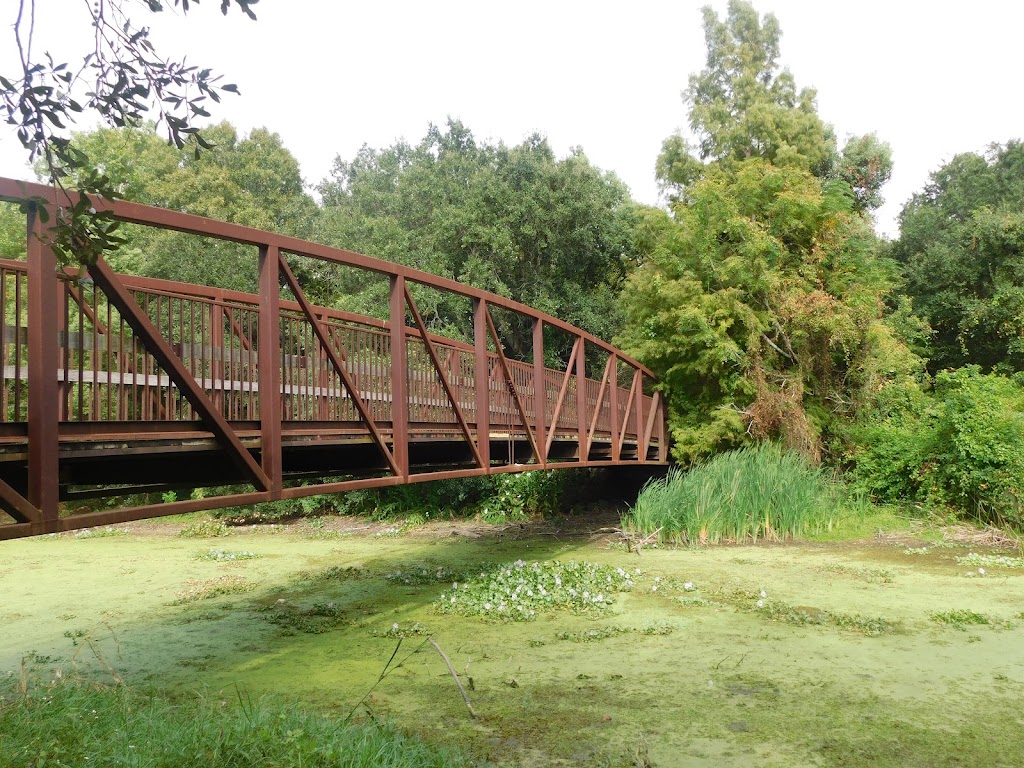 Couturie Forest Trails