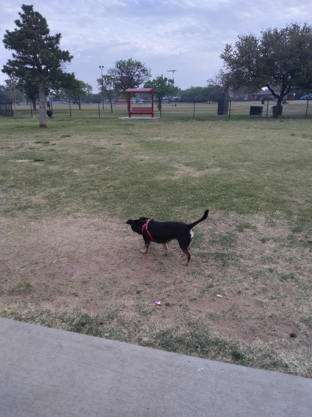 Clapp Park Dog Park
