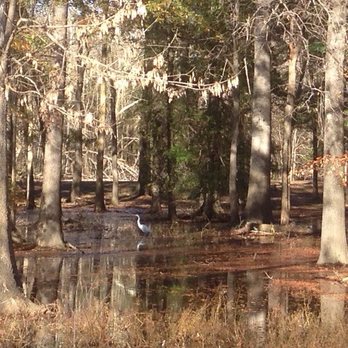 Cooper Creek Dog Park