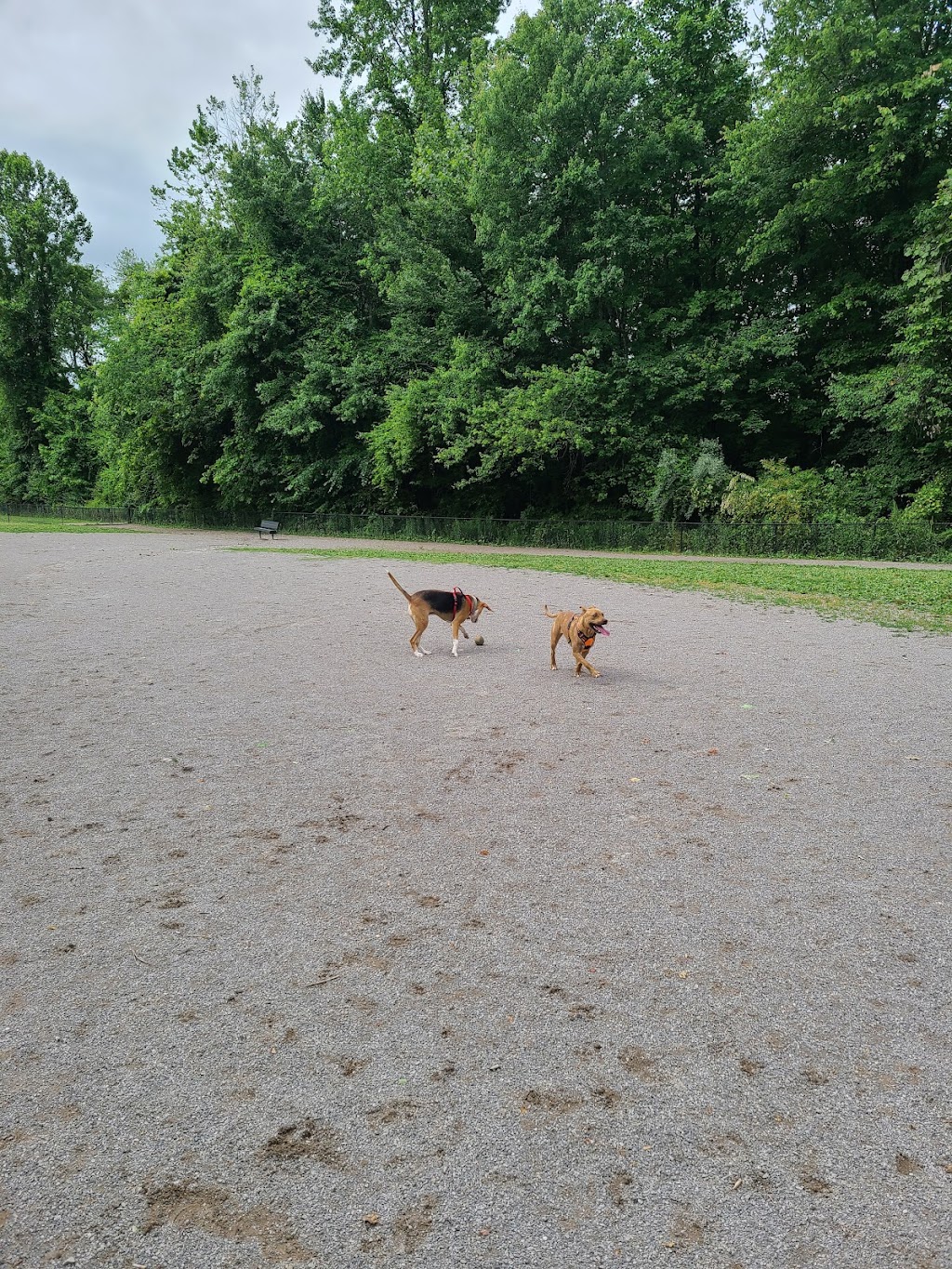 Tommy Schumpert Park Dog Park