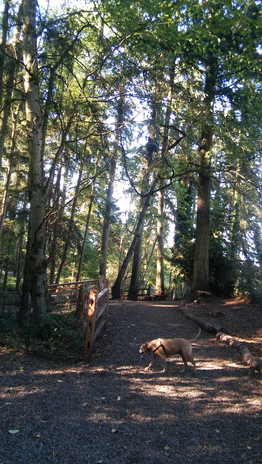 Northacres Park Off-Leash Area