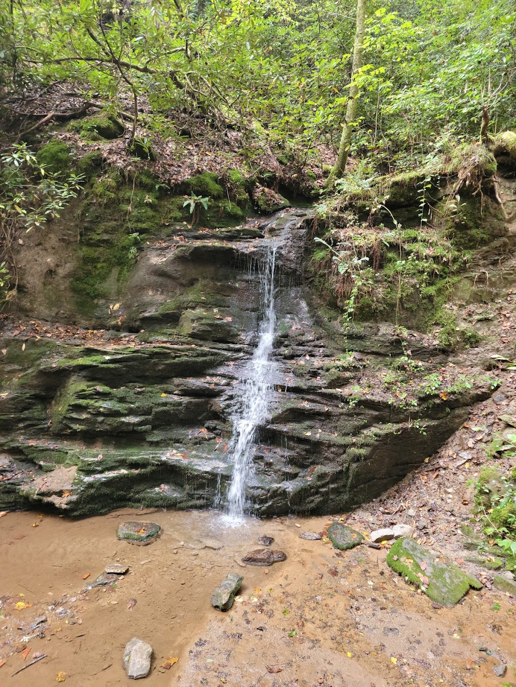 Warwoman Dell Recreation Area