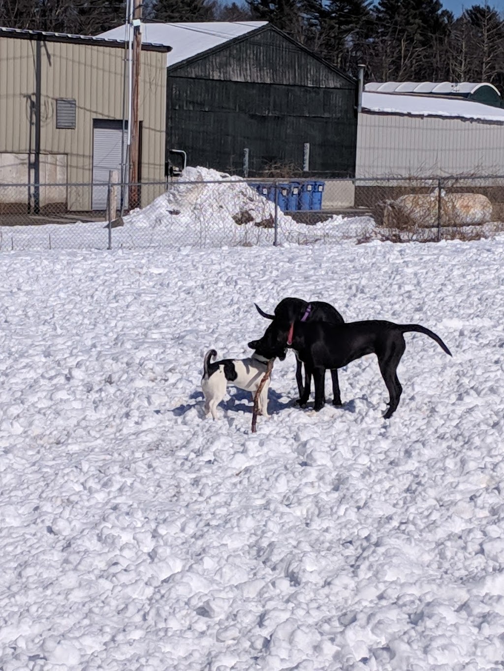 Kennebunk Dog Park
