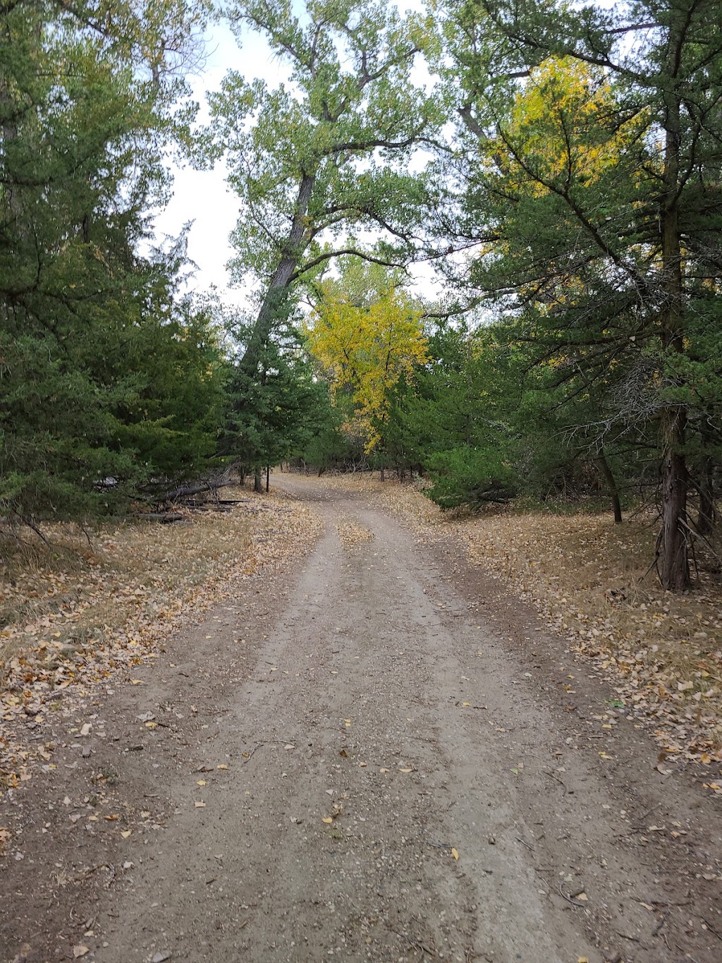LaFramboise Island Nature Area, Pierre
