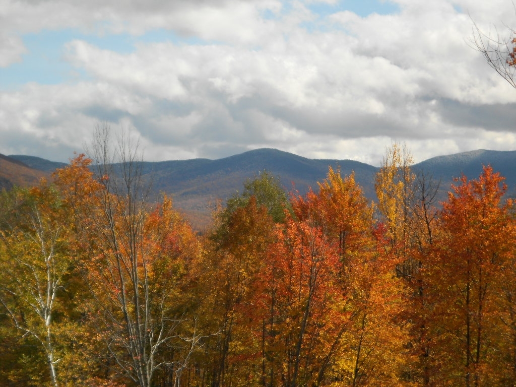 Green Mountain National Forest, Rutland