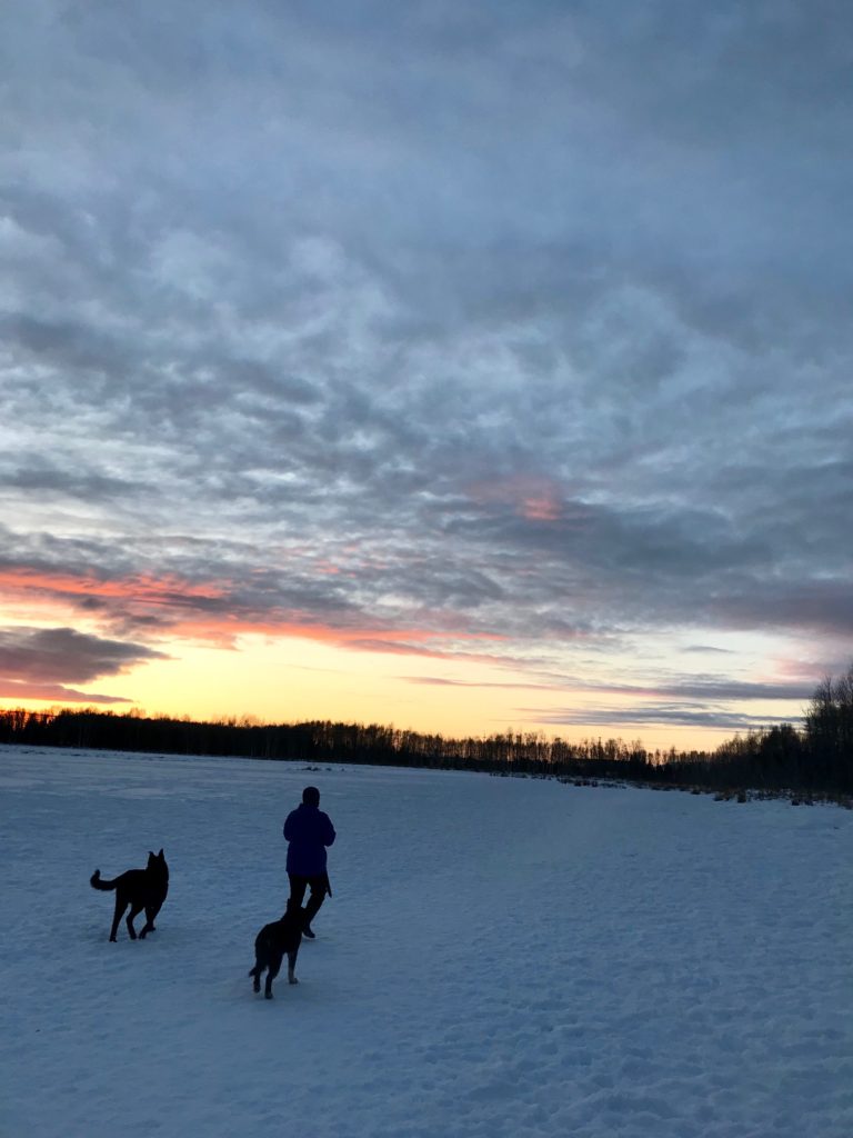 Connors Bog Dog Park