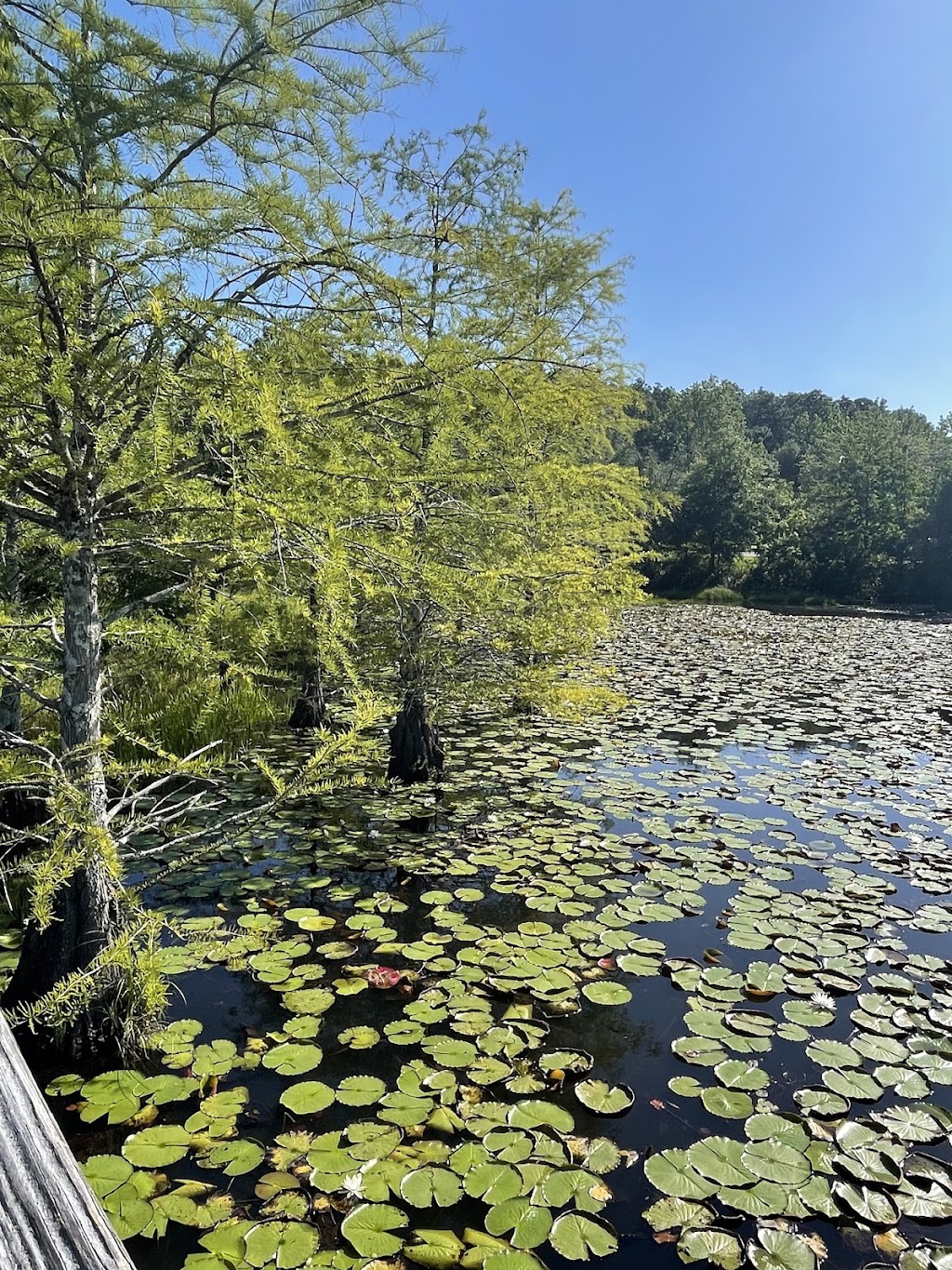 Three Mile Creek Greenway