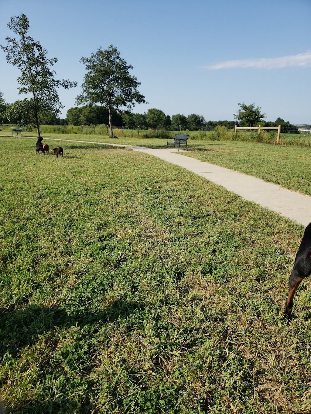 Mahoney Park Dog Park