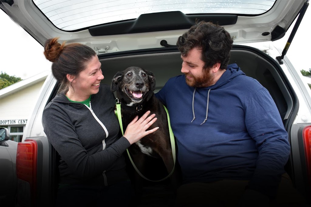NH SPCA Stratham