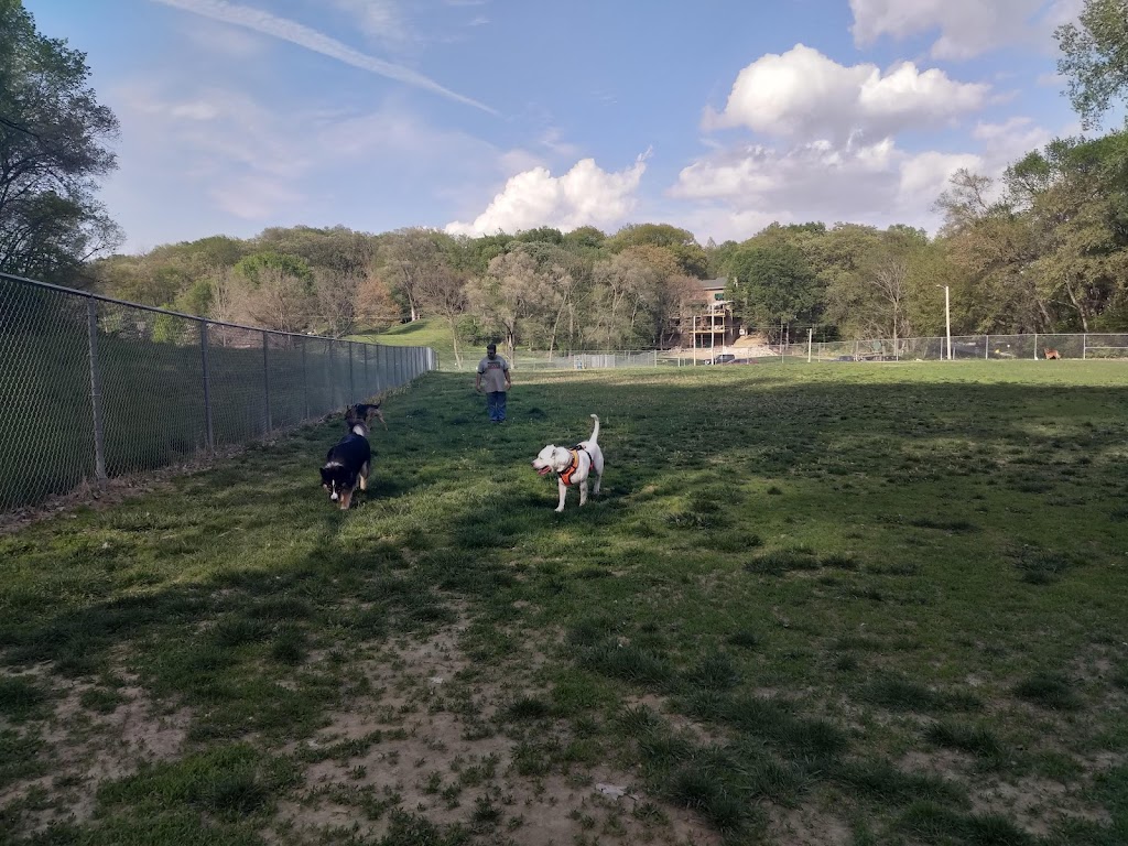 Bellevue Off-Leash Dog Park (Wolfe Park)