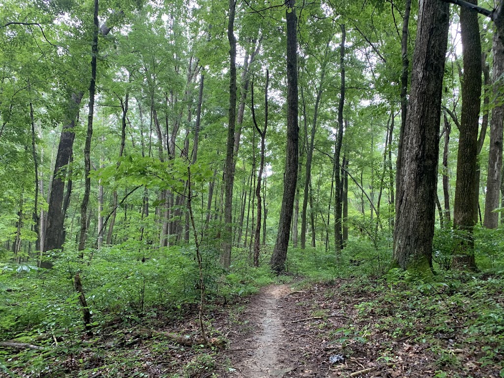 O'Bannon Woods State Park