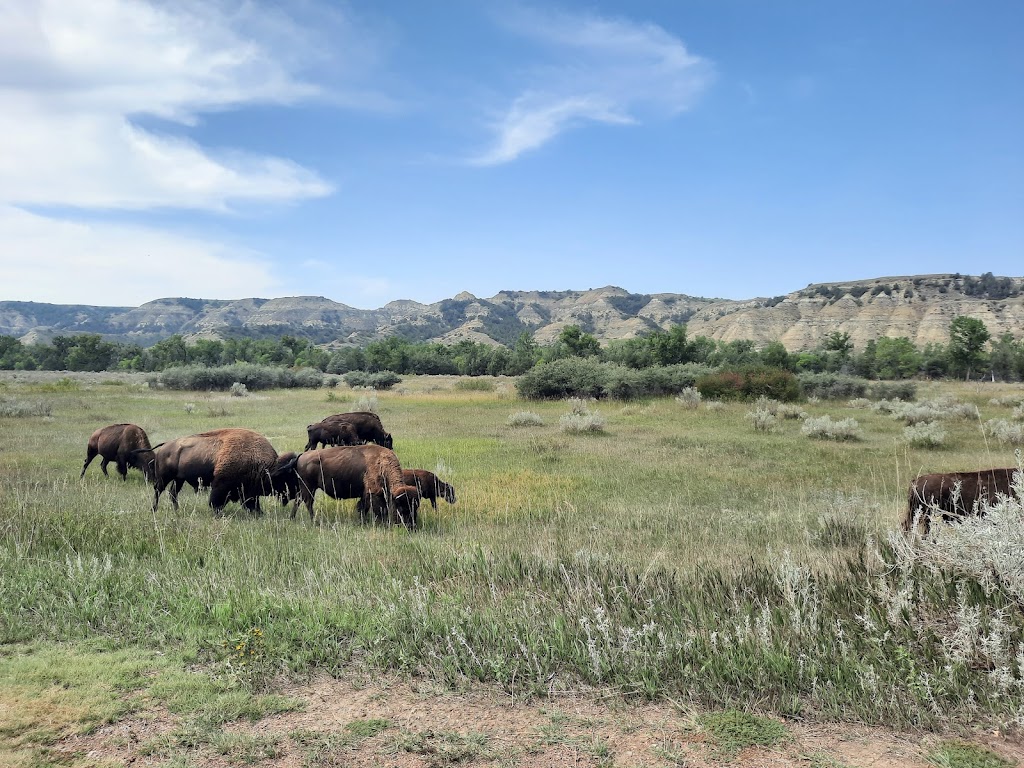 Theodore Roosevelt National Park, Medora